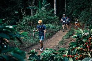 BIB: 
                            <button type="button" onclick="openModal(25831914)" class="btn btn-primary btn-sm float-right btn-popup" data-toggle="modal" data-target=".modal-high-quality">
                        <i class="fas fa-shopping-cart"></i> Add to Cart
                    </button>
                                            <button type="button" onclick="isThisMe(25831914, true)" class="btn btn-success btn-sm float-right btn-popup btn-isme hidden" data-toggle="tooltip" data-placement="bottom" title="นี่คือรูปของคุณใช่ไหม คลิกที่นี่เพื่อเอาเข้าอัลบั้ม">
                        <i class="fas fa-plus"></i> Add to album
                    </button>
                    <button type="button" onclick="isThisMe(25831914, false)" class="btn btn-warning btn-sm float-right btn-popup btn-isnotme hidden">
                        <i class="fas fa-ban"></i> Remove from album
                    </button>